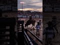 Bull Riding in the mud at sunset 💯