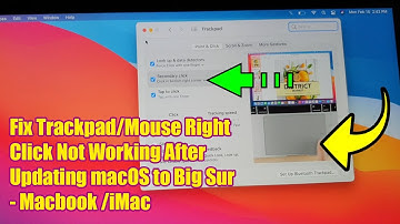 How to Fix Trackpad/Mouse Right Click Not Working After Updating macOS to Big Sur on Macbook Pro/Air