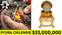 Top 10 Luckiest Discoveries That Made People Rich