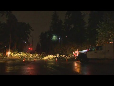 Heavy winds, strong storms cause power outages across Middle ...