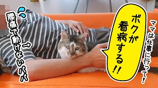 パパの看病を元野良猫にお願いしてみた結果