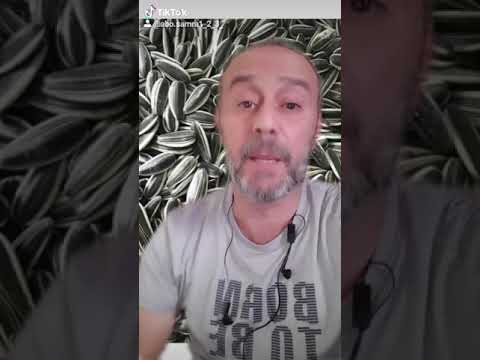 فوائد اللب السوري او بذور عباد الشمس