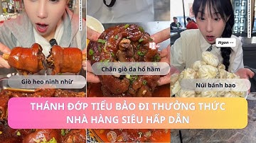 Siêu Tổng Hợp - Thánh Đớp Nữ Tiểu Bảo Đi Thưởng Thức Các Nhà Hàng Siêu Hấp Dẫn | [ Phần 7 ]