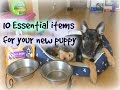 10 essentials items for your new puppy 10 essentials items for your new puppy