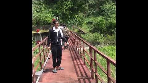 Mencari ikan koi di sungai jepang