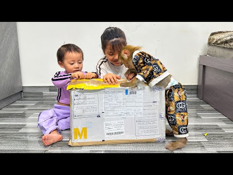 Monkey Kaka's family is happy to receive gifts from the Czech Republic