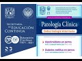 Patologia clinica