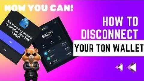 GOOD NEWS! DISCONNECT & RECONNECT YOUR TON WALLET ON HAMSTER KOMBAT | AIRDROP + DAILY COMBO + CIPHER