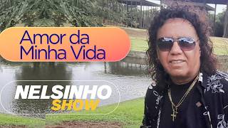 Amor da Minha Vida NELSINHO SHOW 2026