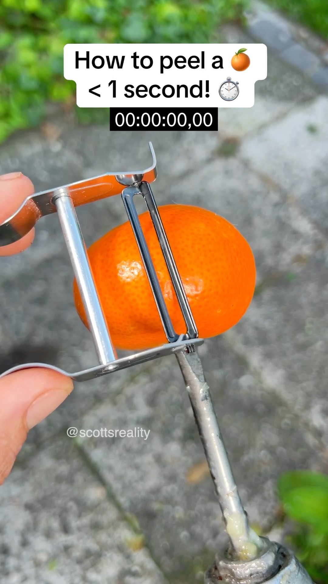 Guess how long it takes to peel this orange! ??