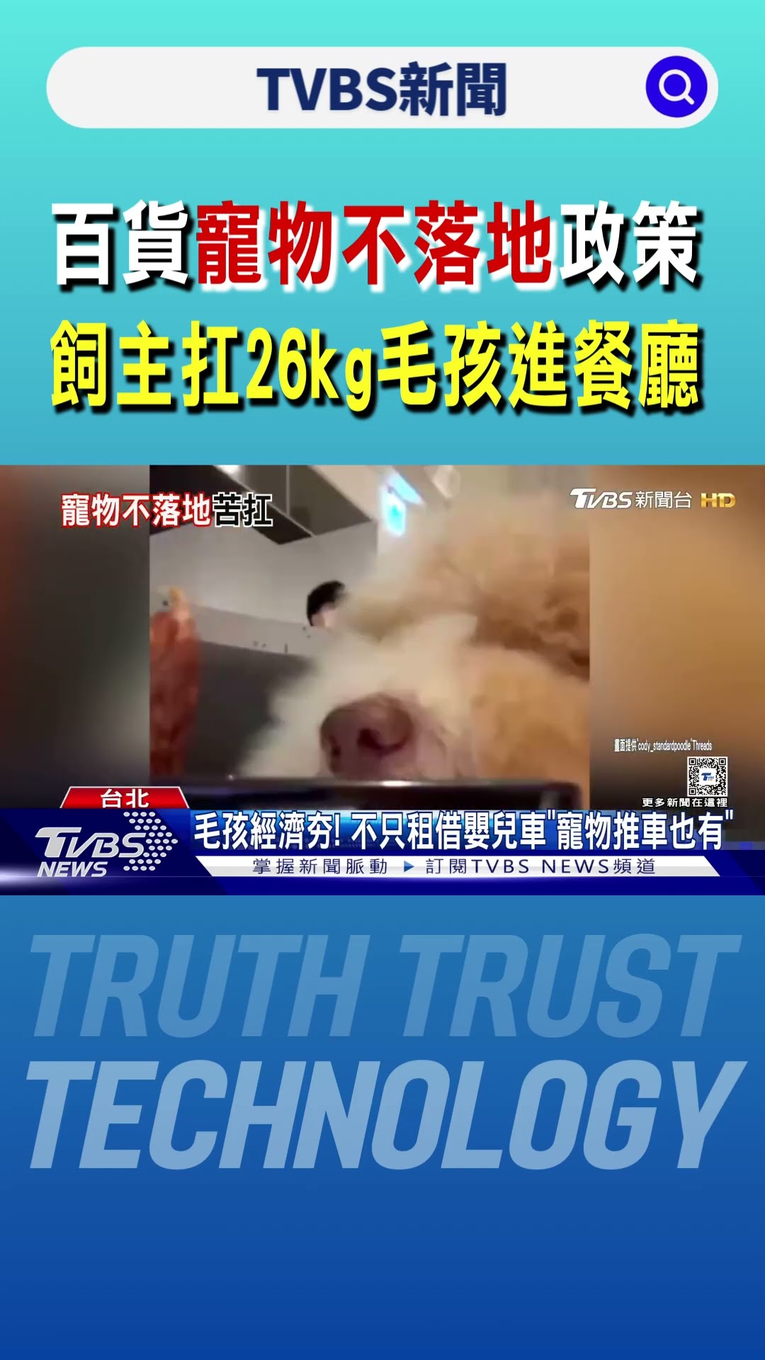 百貨「寵物不落地」政策 飼主扛26公斤毛孩進餐廳｜TVBS新聞 @TVBSNEWS01
