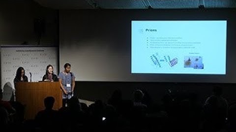 2018 Nanoscale Microscopy - Degenerations of Neurons in Alzheimer