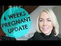 6 WEEKS PREGNANT UPDATE  |  EMILY NORRIS