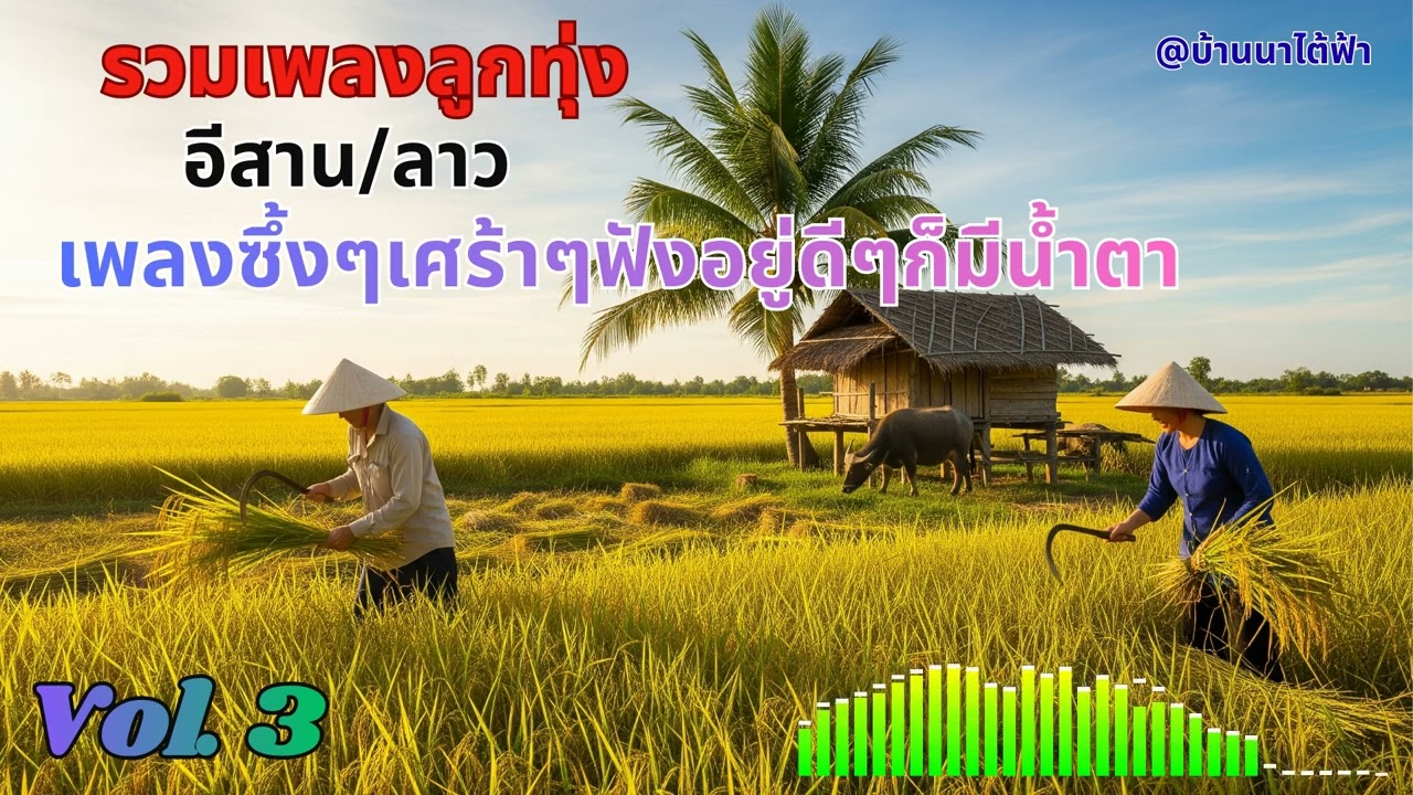Ep 3 รวมเพลงลูกทุ่งอีสาน/ลาว เศร้า เหงา คิดฮอดคนไกล ฟังยาวๆ ก่อนนอน  ตอนทำงาน  | ลูกทุ่งบ้านนา