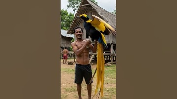 Javan-Hawk Eagle and Bird of Paradise   #ai #aivideo #elangjawa #viral #fyp #shorts #bird #eagle