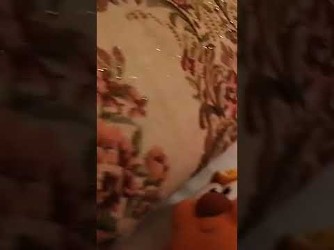 смешарики мягкая игрушка копатыч со звуком