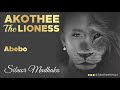 Akothee - Abebo (Official Audio)