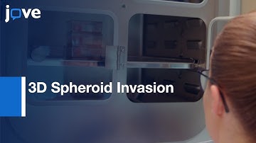 3D Spheroid Invasion Assay with Tumor based Matrix | Protocol Preview