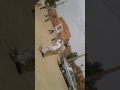 فضيحة باشا مدينة كلميمة اعتداءه على مواطن من تعوانين يومه الإثنين 24 يوليوز 2017 فضيحة باشا مدينة كلميمة اعتداءه على مواطن من تعوانين يومه الإثنين 24 يوليوز 2017