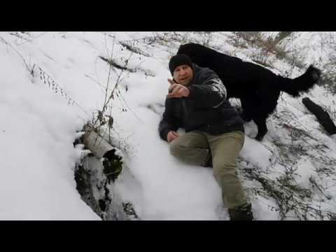Обнаружил БРОШЕННЫЙ РОДНИК! Жизнь В ДЕРЕВНЕ У РЕКИ!