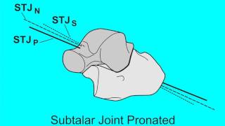 Subtalar Joint Axis Spatial Location Changes with Subtalar Joint Rotational Motions
