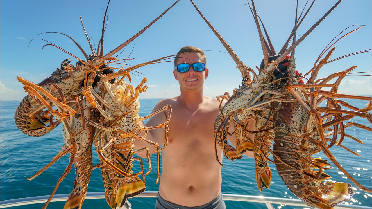 Florida SPINY Lobster! Catch and Cook (Diving & Lobstering Ft. Lauderdale)  
