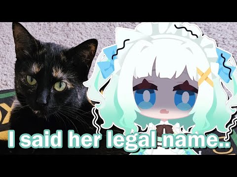 Mint DOXXES her cat! 【Maid Mint Fantome】