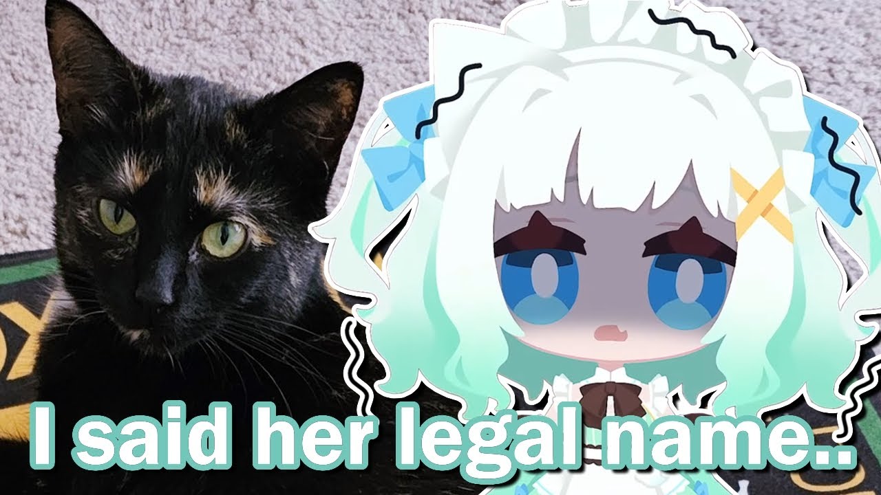 Mint DOXXES her cat! 【Maid Mint Fantome】