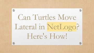 Can Turtles Move Lateral in NetLogo? Here