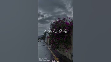 ما تيسر من القران الكريم #اكسبلور #القزابري #travel #دويتو #المصحف #حالات_واتس #تيك_توك #العظماء #