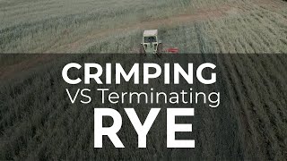 Crimping vs terminating rye cover crop discussion with Charles Vollmer. Plant soybeans after rye