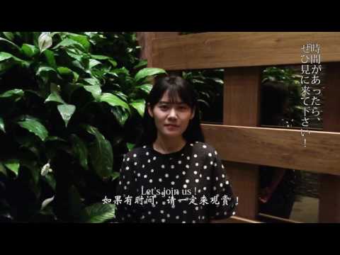 程璧 (チェン・ビー/Cheng Bi) - YouTube