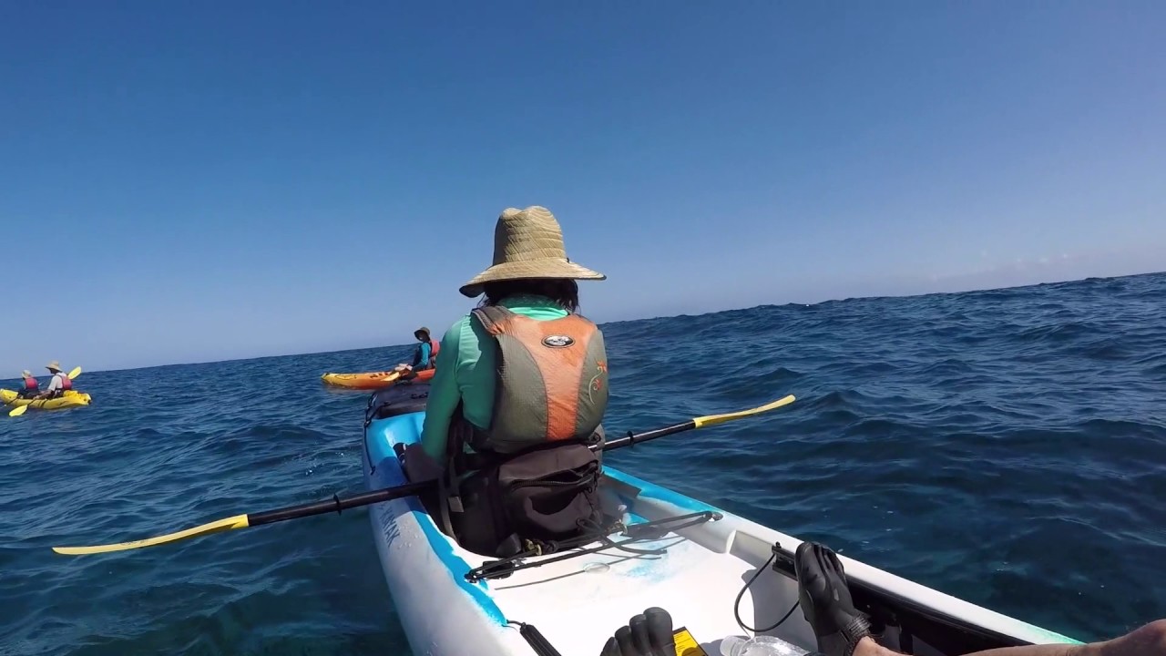 Na'Pali Coast Kayak Tour 2017 Kauai YouTube