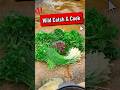 Catch Fish, Forage &amp; Cook a Real Wilderness Hotpot! 🐟🌿