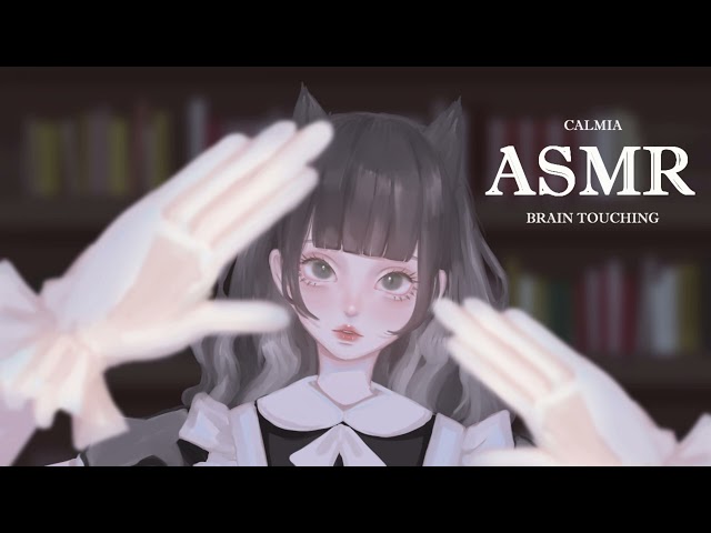 ୨୧⊹ASMR⊹୨୧  TINGLY TOUCH YOUR BRAIN ｜no talking｜