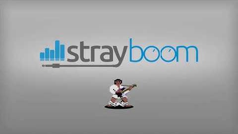 StrayBoom vs. FPGASID