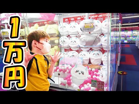 Chiikawa Plush Stuffed Animal Strategy! How many can you get