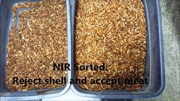 Pecan sorted by AMVT