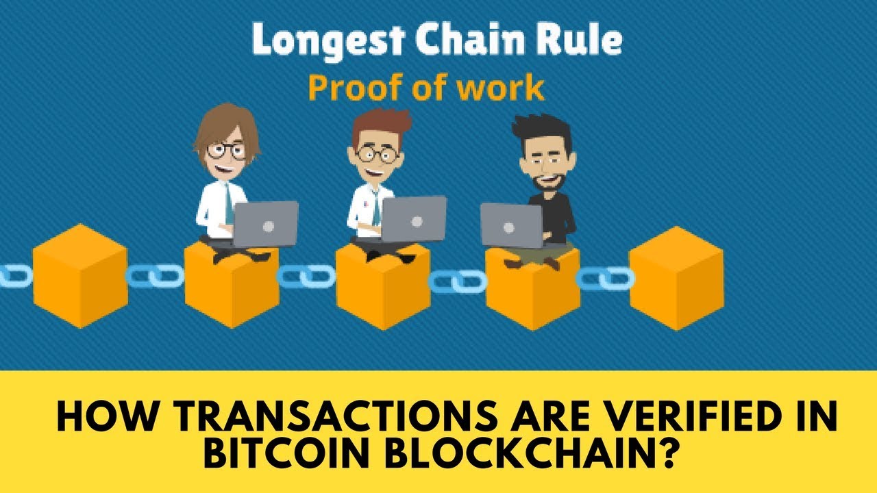 live blockchain transactions