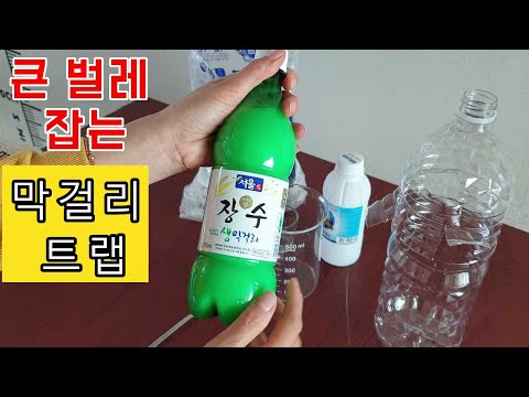 대박! 막걸리로 큰 벌레 싹다 잡아버린다구요?