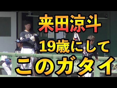 来田涼斗のガタイがヤバい【オリックス 2022年プロ野球オープン戦】