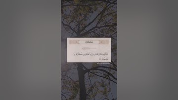 إن الذين ينادونك من وراء الحجرات أكثرهم لا يعقلون - سورة الحجرات رعد الكردي #سورة_الحجرات