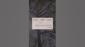 إن الذين ينادونك من وراء الحجرات أكثرهم لا يعقلون - سورة الحجرات رعد الكردي #سورة_الحجرات