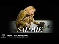 Salome Moving Moment Featuring Nadja Michael Salome Moving Moment Featuring Nadja Michael
