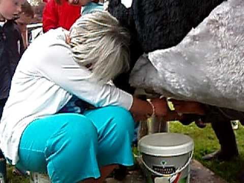 Caroline Milking The Cow at 2010 Drishane Garden F...