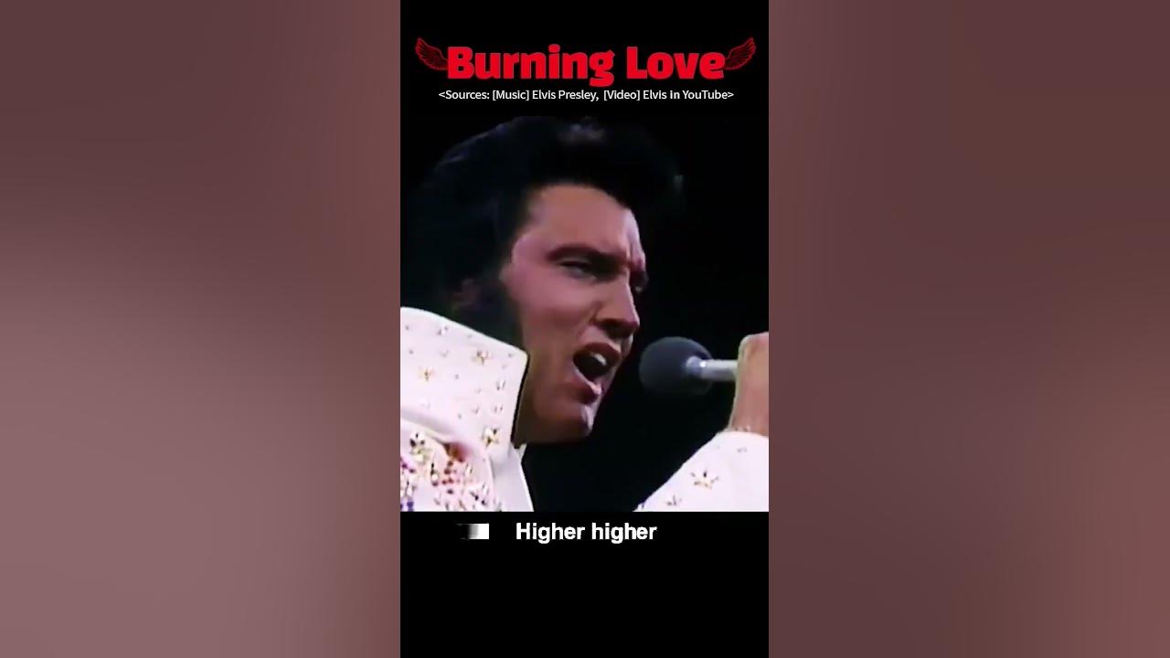 Burning Love - Elvis Presley ποΈ#elvispresley Burning Love - Elvis Presley ποΈ#elvispresley