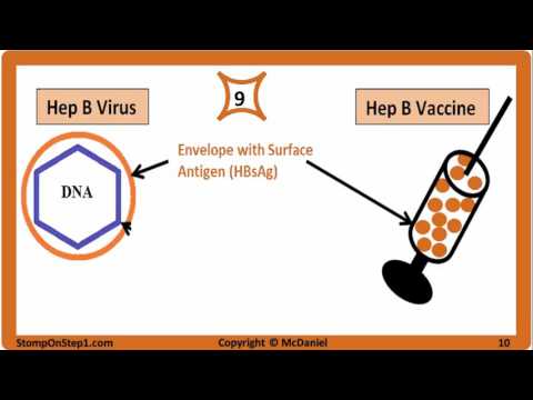 Viral Hepatitis: Hepatitis A, Hepatitis B, Hepatitis C, HBsAg HBeAg Vaccine HCV HBV HBsAb