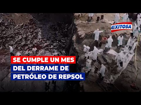 🔴🔵Hoy se cumple un mes del derrame de petróleo de Repsol en el mar de Ventanilla