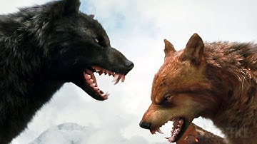 Jacob gets the werewolves