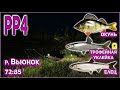 РР4 ВЬЮНОК ОКУНЬ / РР4 ВЬЮНОК ЕЛЕЦ / РР4 ВЬЮНОК ТРОФЕЙНАЯ УКЛЕЙКА / RF4 WINDING RIVULET DACE, PERCH.